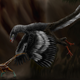 Archaeopteryx was a carnivorous dinosaur that may have used its limited flying abilities to capture prey.